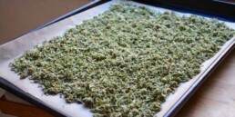 How To Decarboxylate Your Cannabis, weed decarb, prepping weed, prepping cannabis, prepping marijuana