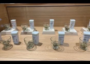 Purchases at Cultivate in Leicester, MA Marijuana Dispensary TNMNews.com