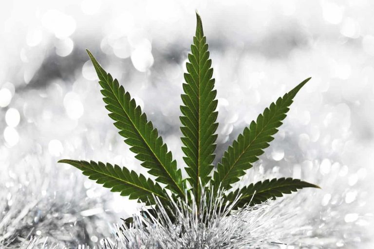 The Best Cannabis Strains For Winter Weather, winter cannabis, winter marijuana, winter pot, winter chronic