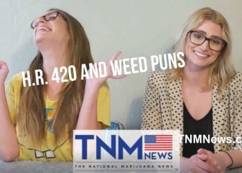 How HR 420 Exemplifies Politicians of Weed Puns } TNMNews.com | Marijuana News, Cannabis Culture