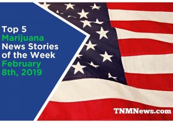 tnmnews february 8th, 2019 top 5 marijuana news stories of the week