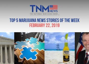 The top 5 trending marijuana news stories of the weed for February 22, 2019