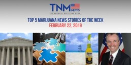 The top 5 trending marijuana news stories of the weed for February 22, 2019