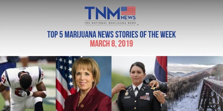 March 8th, 2019 Top 5 Marijuana News Stories of the Week