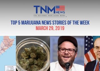 TNMNews March 29th, 2019: Top 5 Marijuana News Stories of the Week