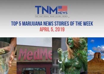 TNMNews top 5 marijuana news stories for April, 5 2019 include the STATES Act, New Hampshire marijuana, and MedMen financial troubles