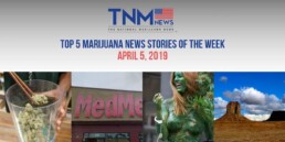 TNMNews top 5 marijuana news stories for April, 5 2019 include the STATES Act, New Hampshire marijuana, and MedMen financial troubles