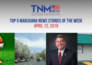 TNMNews April 12th, 2019: Top 5 Marijuana News Stories of the Week