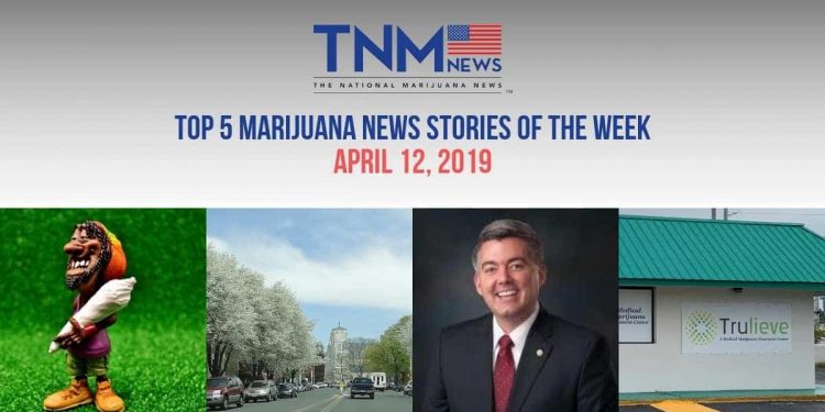 TNMNews April 12th, 2019: Top 5 Marijuana News Stories of the Week