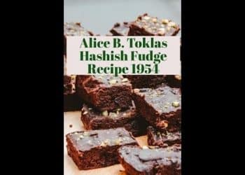Hashish Fudge by Alice B. Tolkas. In 1954 Tolkas released a cookbook that had all of her amazing recipes that she had run across during her travels.