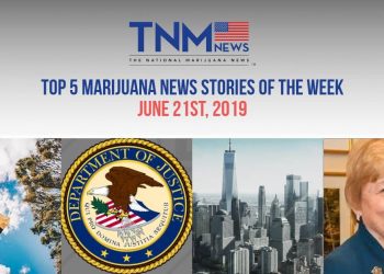 Top 5 marijuana news stories for June 21st, 2019,