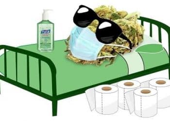 Should I Quit Smoking Weed Because of COVID-19?