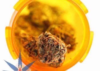 Medical marijuana in a prescription pill bottle