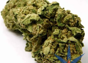 A Nick, Dime, Dub and A Key, What Are They? Marijuana is measured by grams and ounces in both legal states and illegal markets.