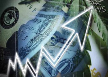 Already searched for top 10 cannabis stocks to invest in and the best cannabis companies to invest in. Most investors ask themselves the same 10 questions