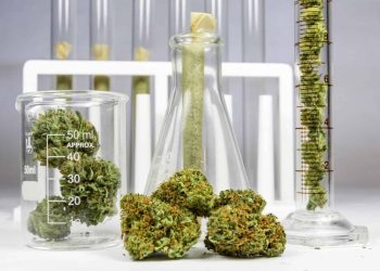 As cannabis legalization continues to sweep the country, new cannabis products are emerging color changing how we enjoy getting high.