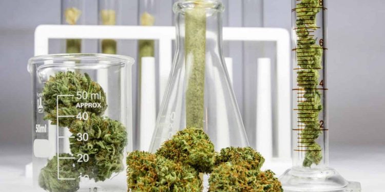 As cannabis legalization continues to sweep the country, new cannabis products are emerging color changing how we enjoy getting high.
