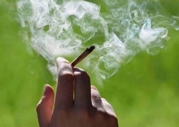 Columbia’s Medical Cannabis Industry Is About to Take Off