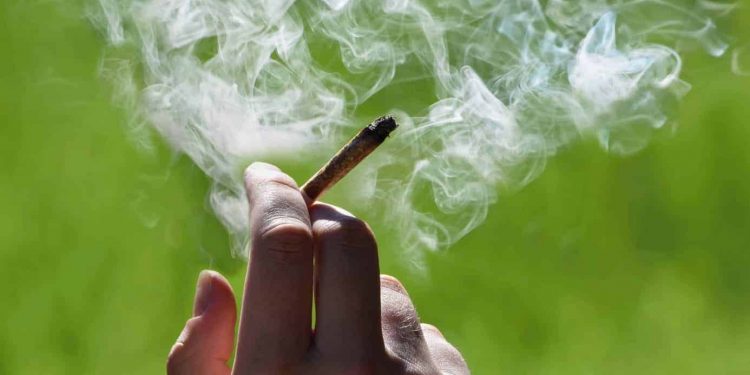 Columbia’s Medical Cannabis Industry Is About to Take Off