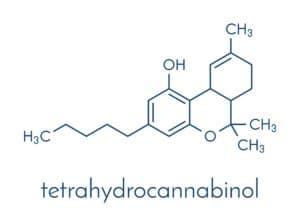 tetrahydrocannabinol in cannabis