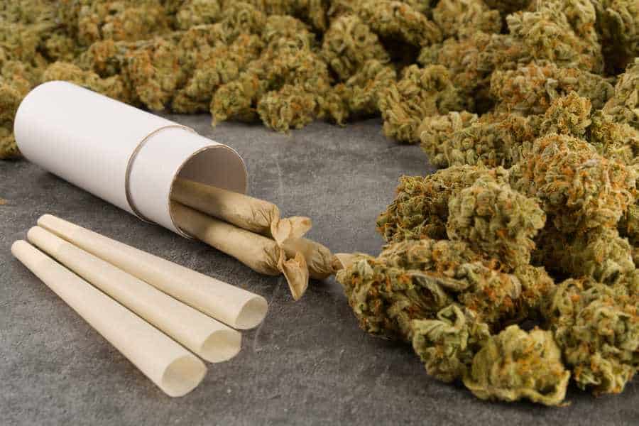 Hear the latest marijuana news and TNM News Network Weed Strain Reviews.