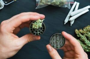 How to grind weed without a grinder? Here is a simple guide from TNM News