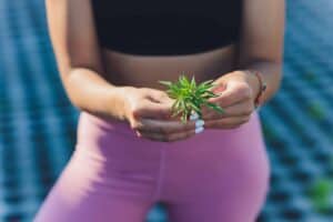 What the Research Says About Cannabis & Weight Loss? Read and know from TNM News