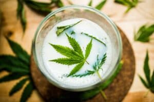 Caluculate the dosage for Cannabis-Infused Milk.  Learn from TNM News