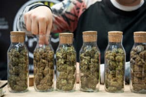 Why Does Weed Smell Like Poop? TNM News compiles the best answers given by budtenders. 