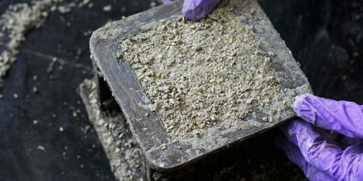 Hempcrete Market 2021-2027 Exhibit A Huge Growth By Profiling Major Companies| Schnthaler, HempFlax, La Chanvrire, American Hemp, Sunstrand, IsoHemp