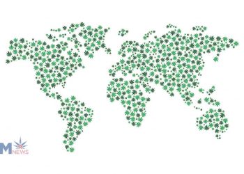 Your Guide to Enjoying Legal Cannabis All Over the World