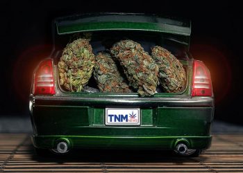 Drive, She Said: Uber Enters the Cannabis Market