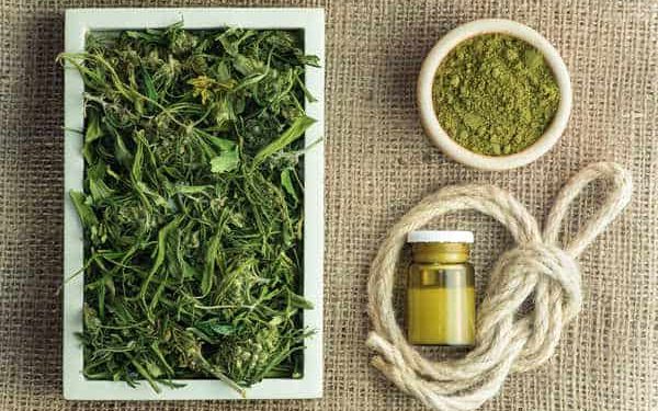 How do CBD and dietary supplements get along? Hemp, legalized under the Farm Bill in 2018, quickly became a popular ingredient.