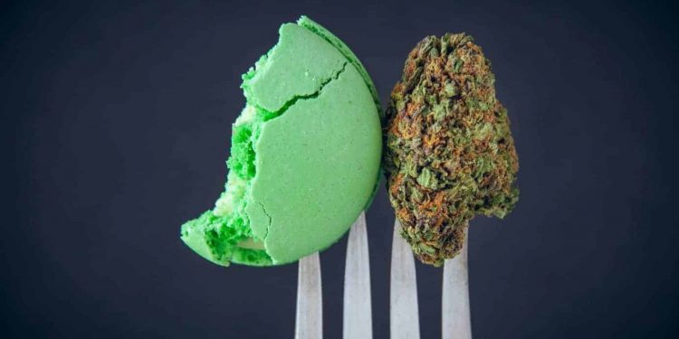 Read to know about the celebrities wo smoke weed.