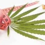 Can you consume cannabis for cannabis for weight loss? Read from TNM News