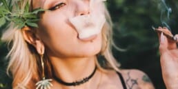 Here are the Ways To Get Weed High Back. Read from TNM News