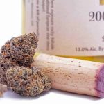 Why Does Weed Smell Like Poop? Here’s what budtenders say about the occasionally offputting aromas of weed. Read from TNM News