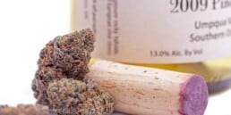 Why Does Weed Smell Like Poop? Here’s what budtenders say about the occasionally offputting aromas of weed. Read from TNM News