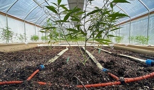 How to Use Less Water