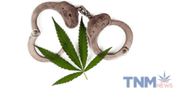 Handcuffs and Weed