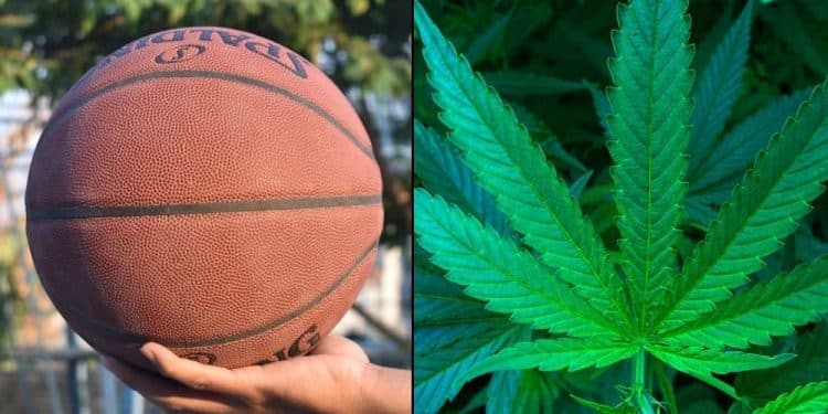 NBA Won’t Test Players For Marijuana For Third Season In A Row, Report Says