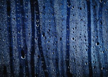 Vapor Pressure Deficit (VPD) and Dr. Greenhouse
