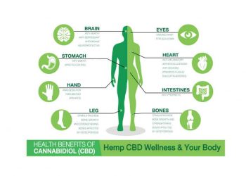 The Medical Significance of Cannabidiol (CBD)