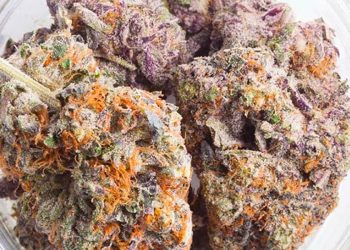 Valentine’s Day: Terpenes, Anyone?
