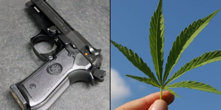 Justice Dept Appeals Federal Court Decision That Struck Down Gun Rights Ban For Marijuana Consumers The U.S. government is appealing a judge’s recent ruling