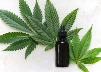 Louisiana Could Pull Hundreds Of Hemp Products Off The Market With Proposed Emergency Rule-I’m hoping you have in mind how much these small businesses invested…