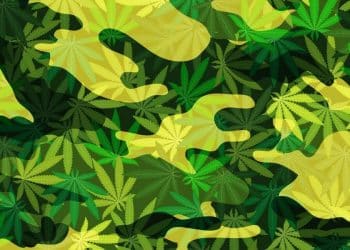 Federal legislation intends to expand research using cannabis to treat PTSD/chronic pain in military veterans through a new veteran's marijuana research bill