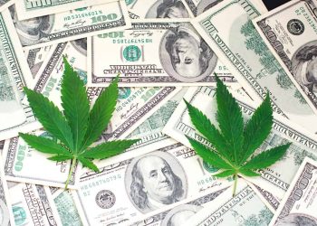 California cannabis sales declined
