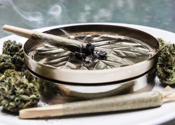 Voters in Oklahoma will head to the polls on Tuesday to decide on State Question 820, a ballot measure that would legalize rec pot statewide.