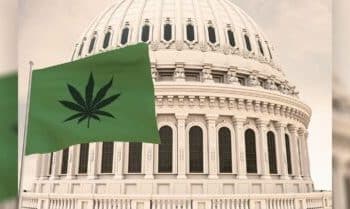 Cannabis Industry Lobby holding a Senate staff briefing to advocate for passage of the SAFE Banking Act and raise awareness of issues facing small businesses